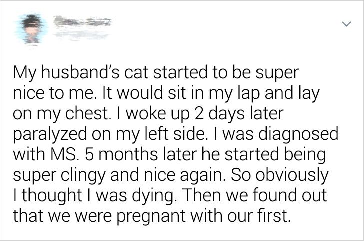 4583765078b6d52a8dc3932a17