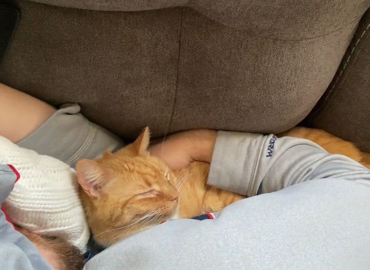 458bb95eaa91feadec12c0be01