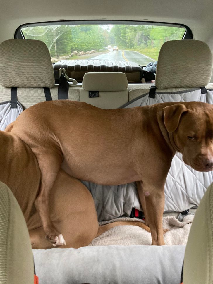 458e465657952829b240c7dad6 458e465657952829b240c7dad6