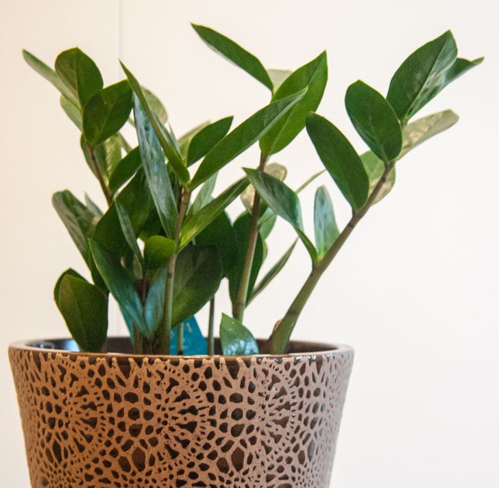 458fe753738640b1f47ea71e7d