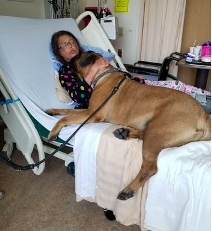 45904555359fcebc712f5c0796