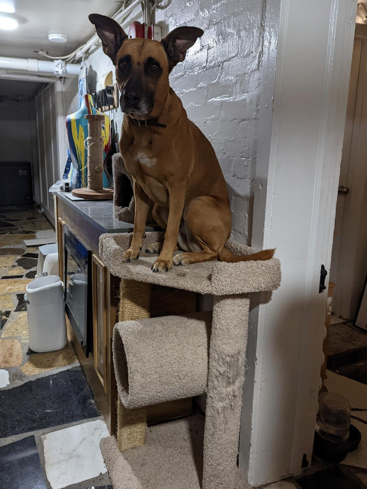 4593745db79a4c35c34be74376