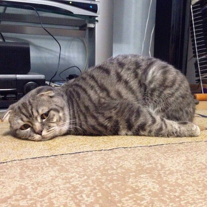 45993f5b4992d0782b674aafcd