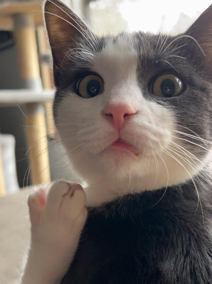 459b8b5a5b90b476086fb5cf5a 459b8b5a5b90b476086fb5cf5a