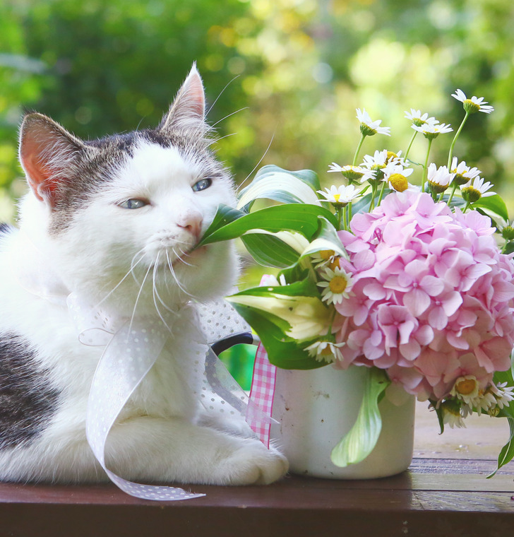 459fb2524190831720d2e18cf4