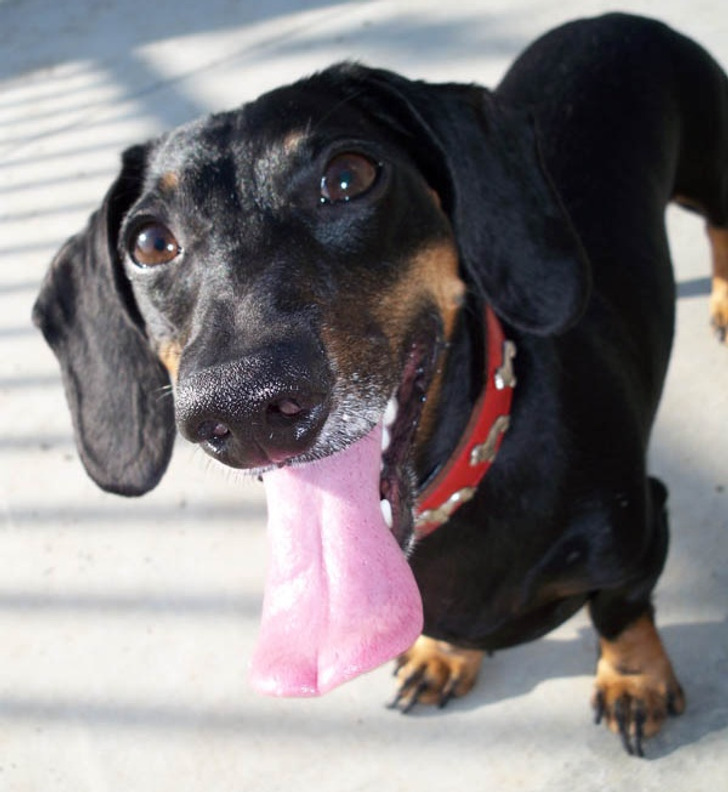 45a021597faedde1445355366d 45a021597faedde1445355366d