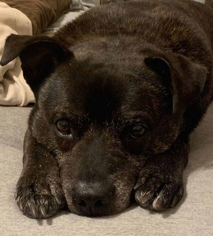 45a05f5c89acc06aef8af4ba4a