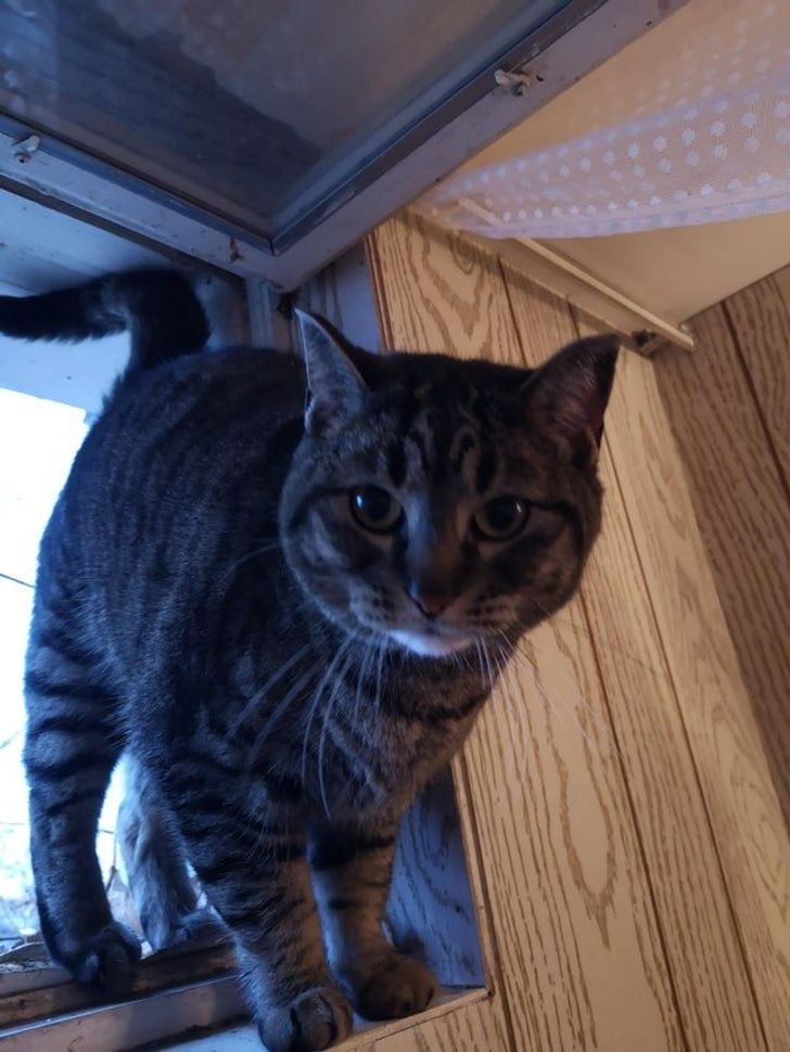 45a2045099b741f25f3a1b593c