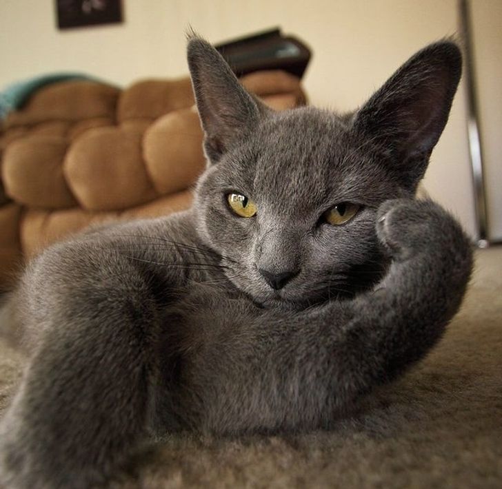 45a85354bf8b6f000b2a079184