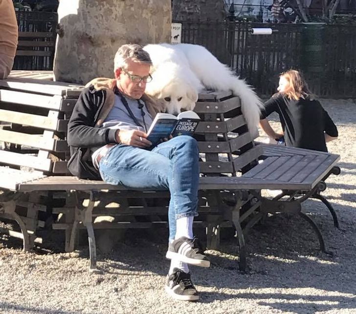 45ab1f52ab891f01f333e7bb08