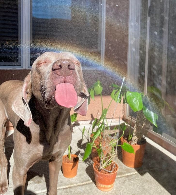 45ad1753c292a44e17b079817c