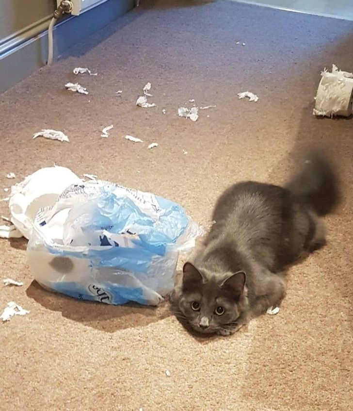 45b3ca51c08324a0bd829070bb