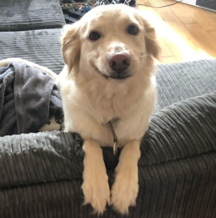 45b6e354d9abbffcf98ae7b174