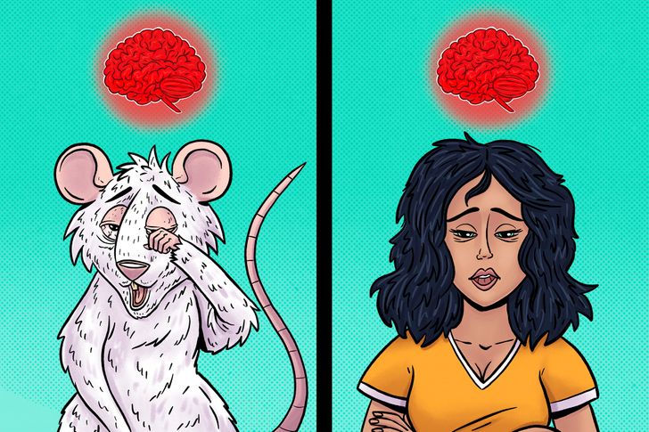 45b7485a37b6db3d482795351f