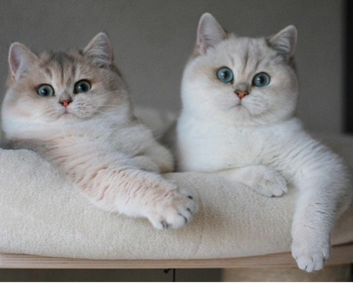 45ba3d590b8ea8c182cb017d4f