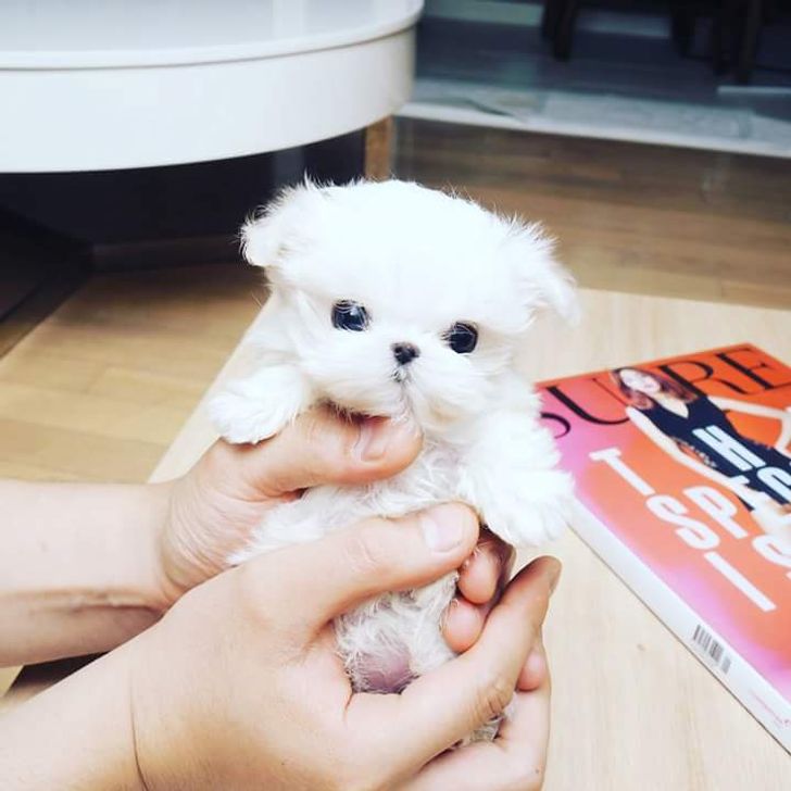 45bf3154cdb48122175ae135a7