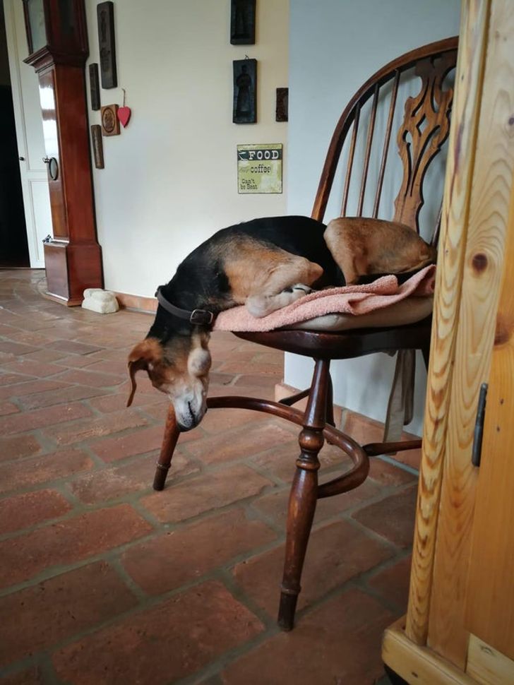 45c32b5cccaa8b13f62d502d80