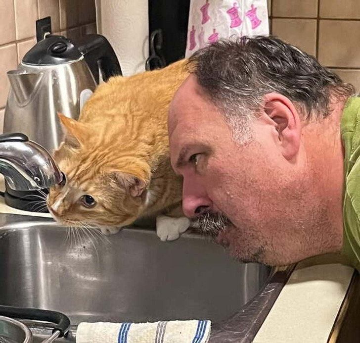 45c70d57748ab892f60d254158