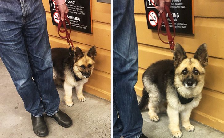 45cbdf53989a63d67534c950a9