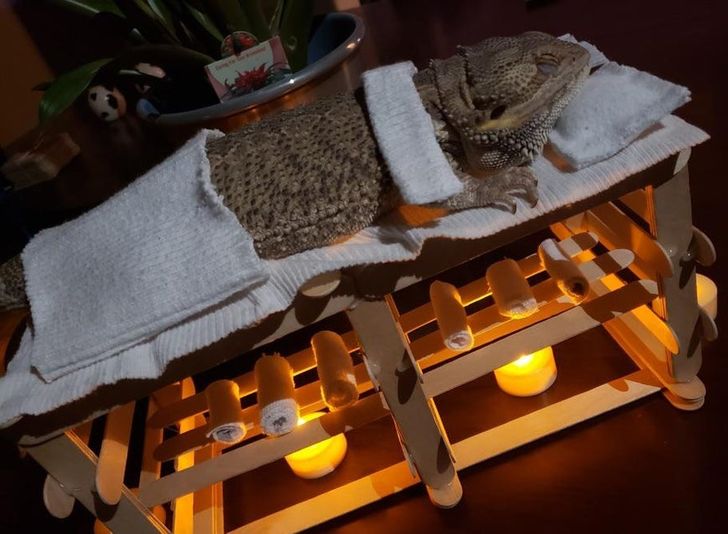 45de2053678b711443f28bfe6d