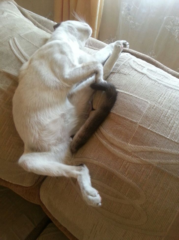 45e1f752f39b784cd939694760