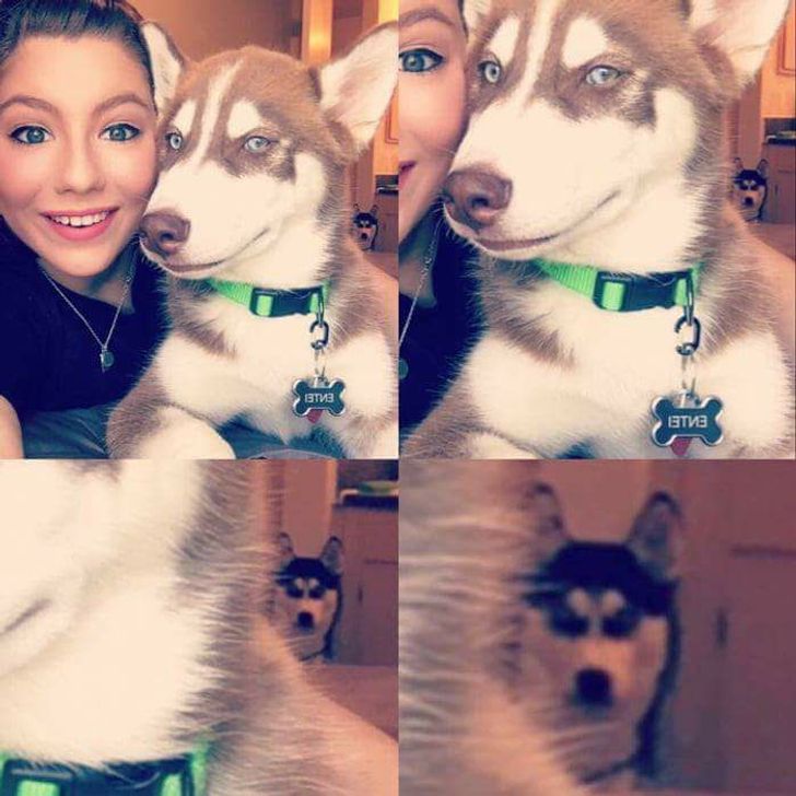 45e3f15135a23f1d25f4b90cf5