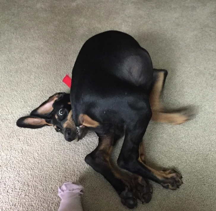 45e4ba5c5c8262f03a83473bd4