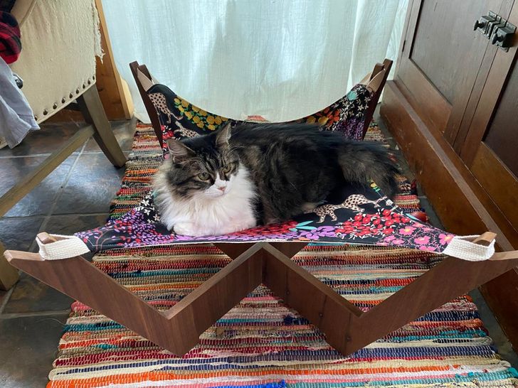 45e56e5a28b267fbc16232b909