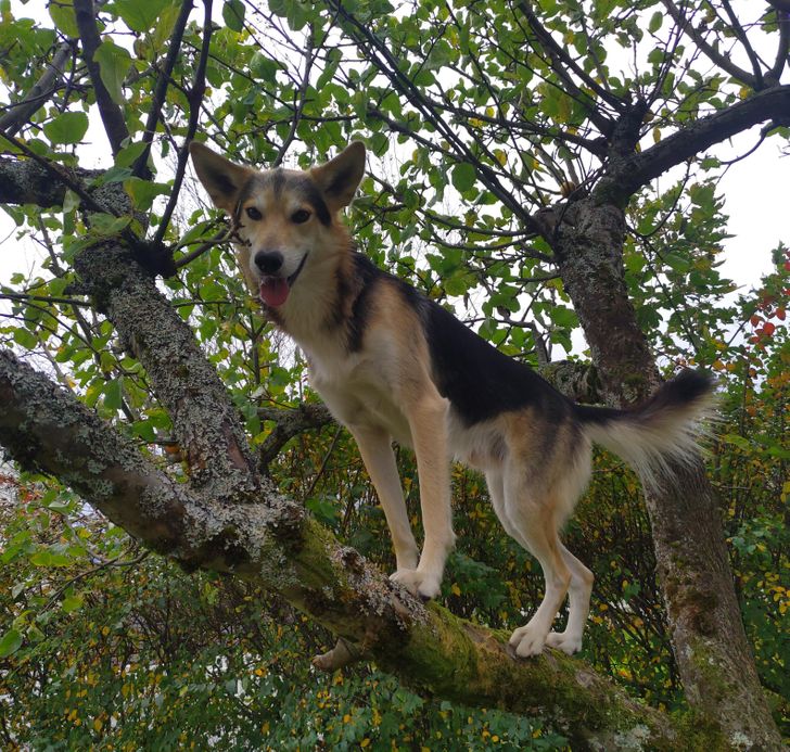 45e9ed530e86acb346d285cea6