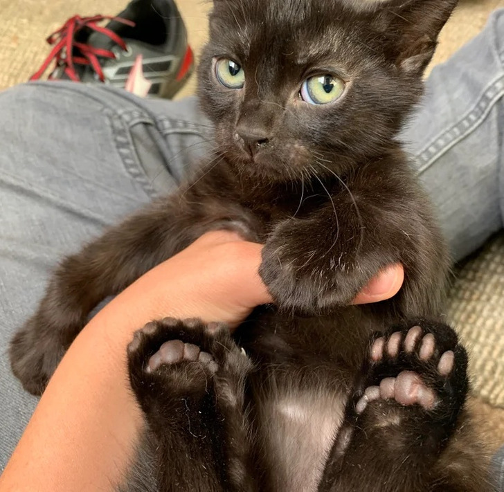 45ec805160bc858d45b0c22a2c