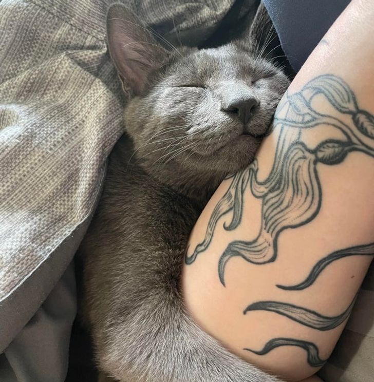 45ed935833a92dfb420f3d1ba6