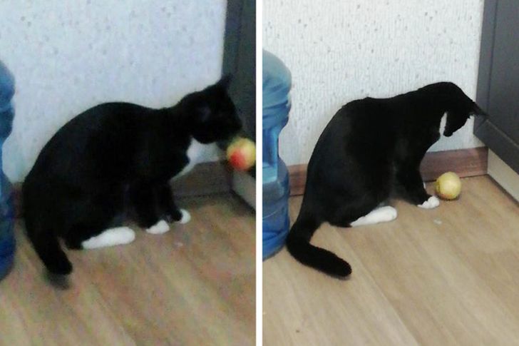 45ee7f51c1924db315d6a77f88