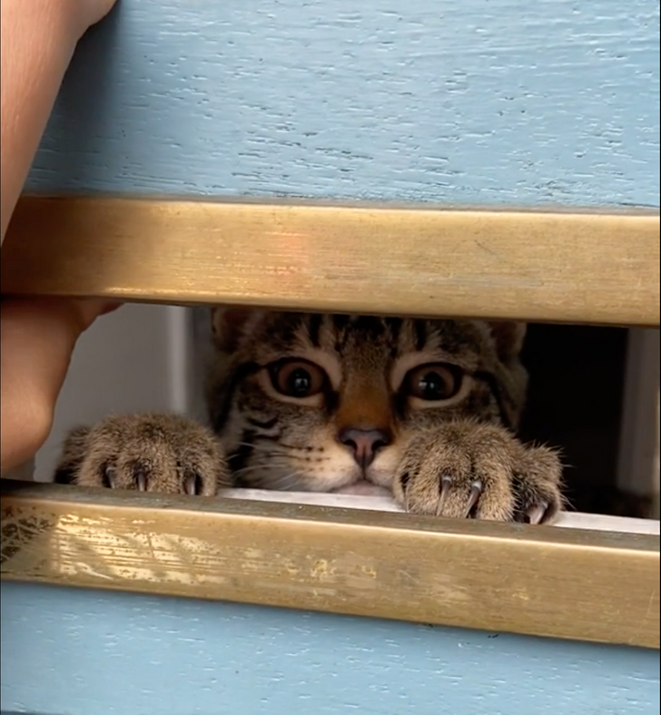 45ee915781b04e52624feef1df