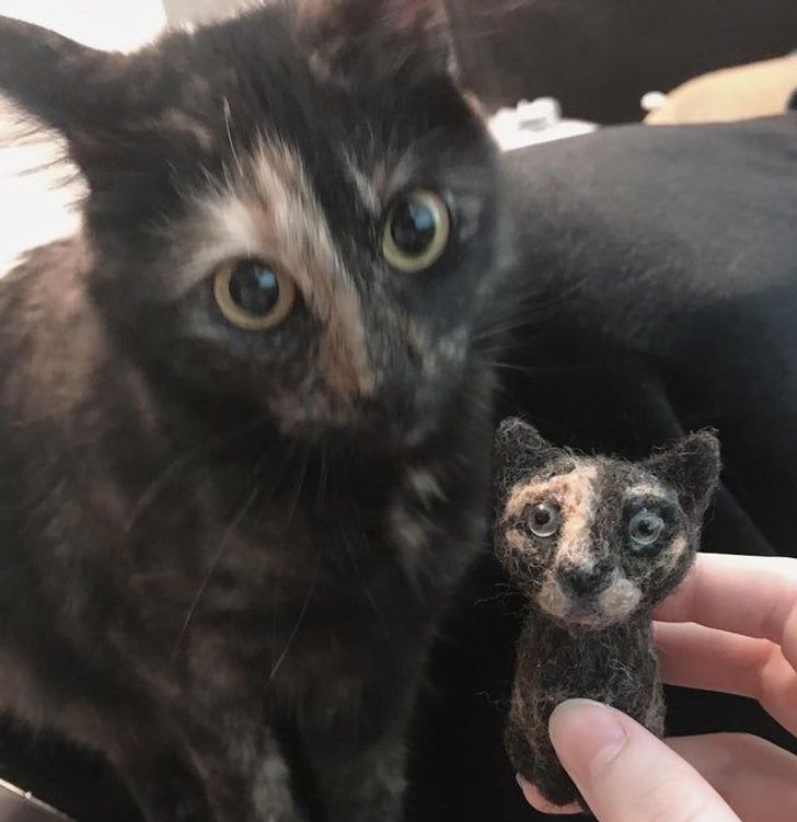 45ef8057edb99b1f95bbe178ce