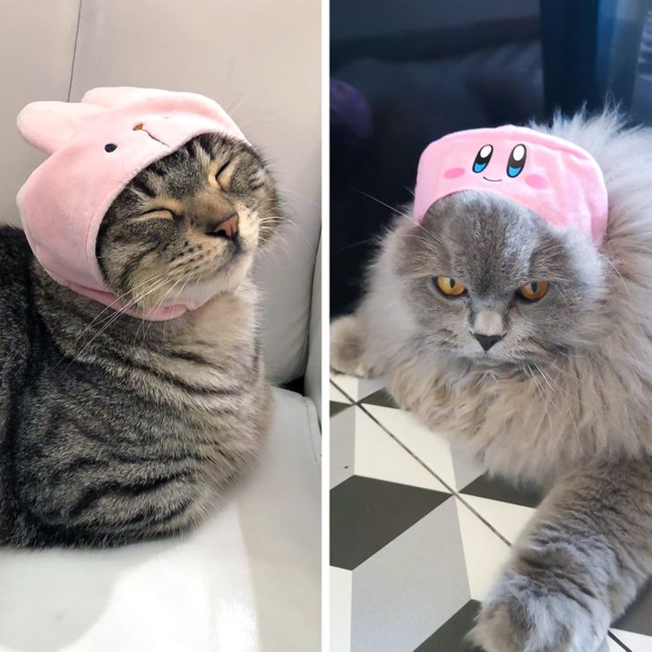 45fa3d56af981aae1eef8ff433