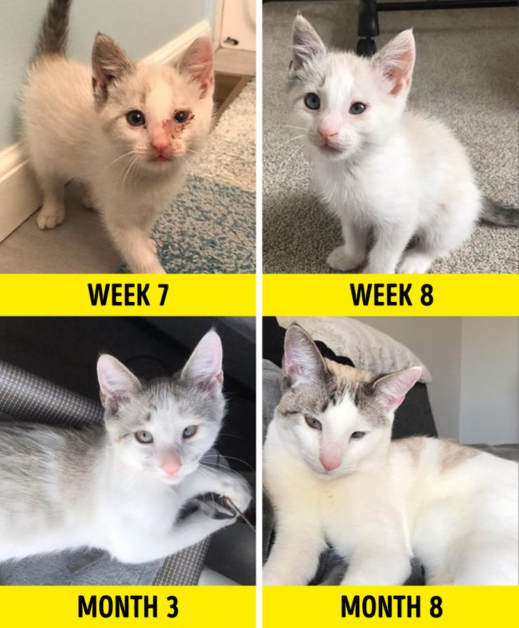 4602b956cd8169a02355913577