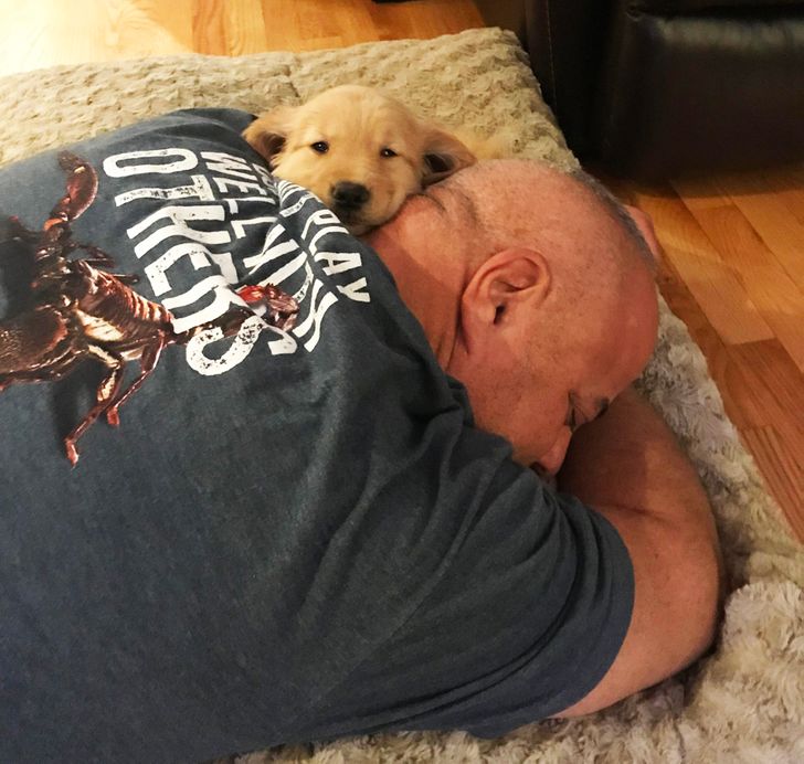 46058f52dba3d70d69a7c346fb