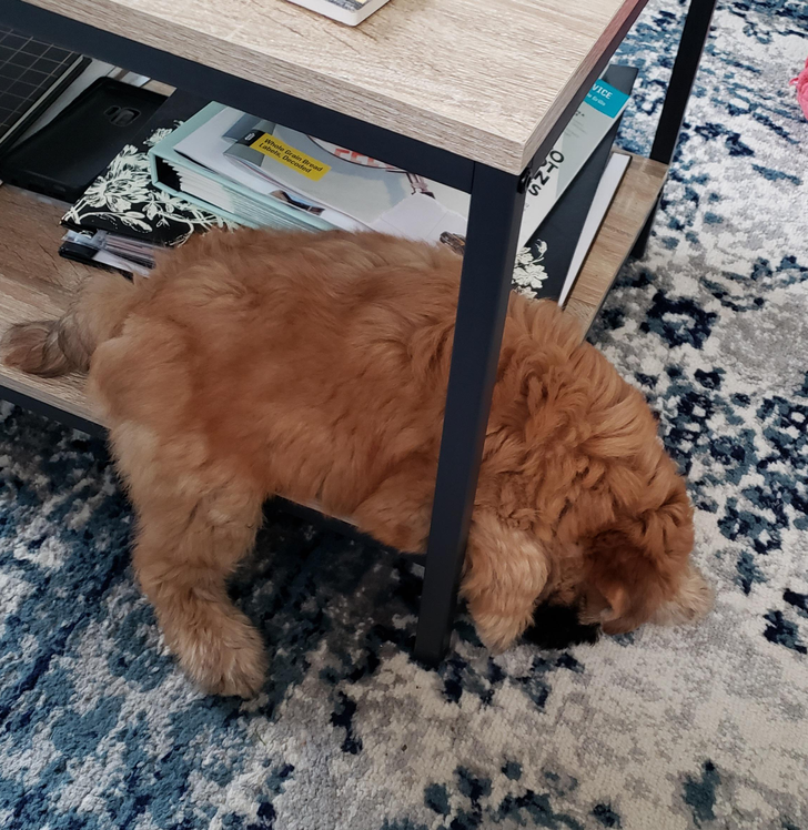 4606ff5483b6875a42b6939a3d