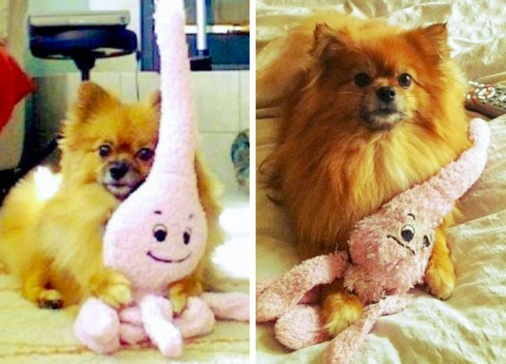 4609c1588c9d54e5021bf5bca9