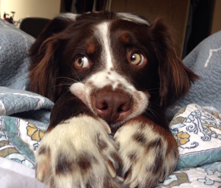 460c5b5aa193bfa0654e4918f1