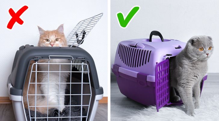 461b195a95b93f99d995fcce84