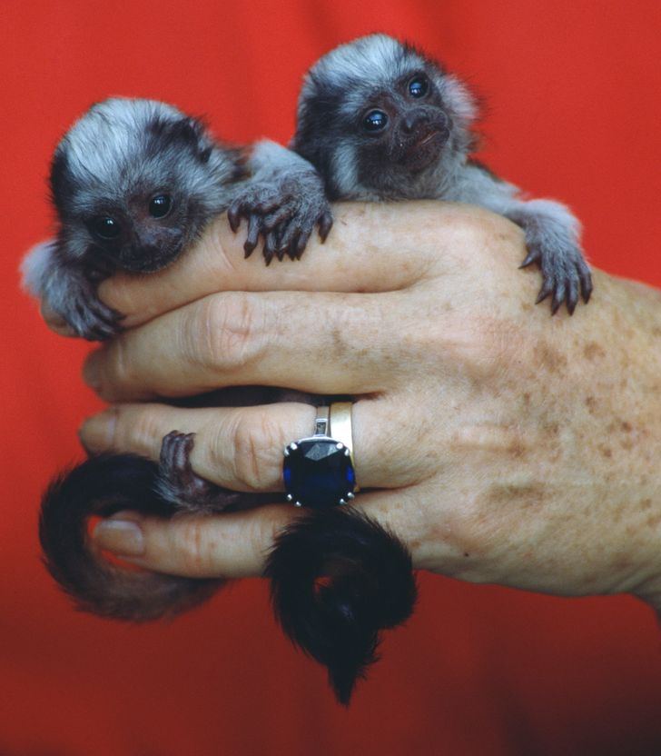 461cea561f9078c6be6a26d668