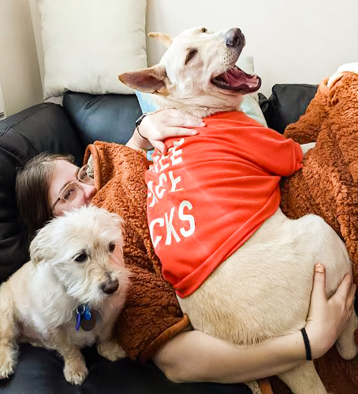 461eec5c24b4945bba3d1fe157 461eec5c24b4945bba3d1fe157