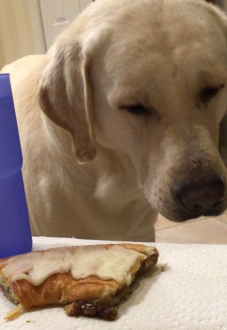 46226e5edda0dbe781d4854dc2