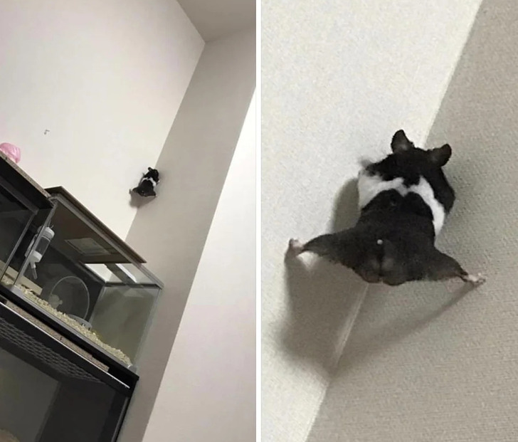 4624c65a0d998b51c2777c0cd9