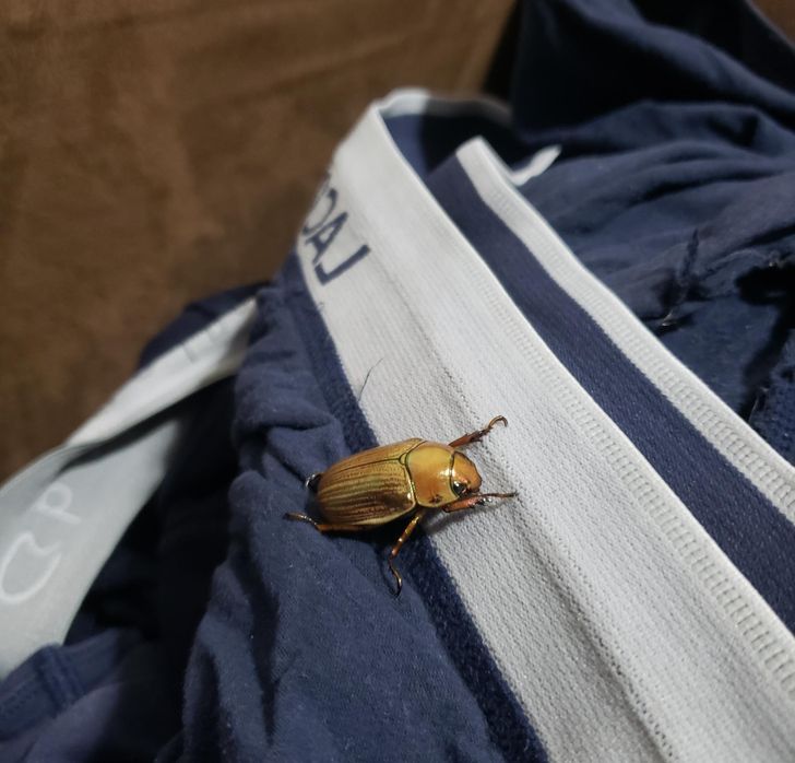 462dc55b06be7fad3591d8c021