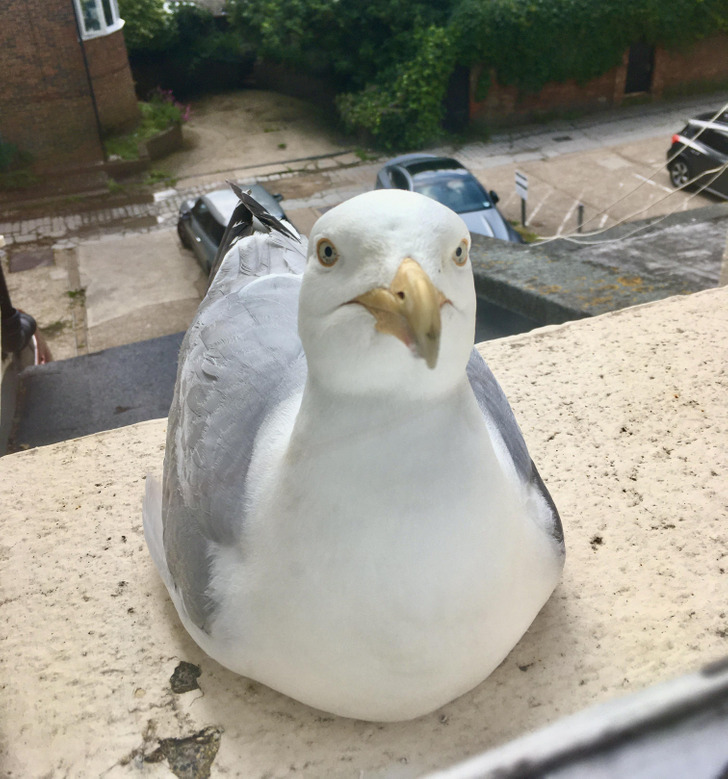 462f7c52169250fe7dc06a1a2c