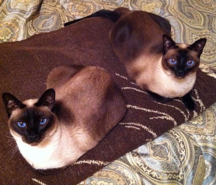 4632f05ad4bd8407b69a6fb788