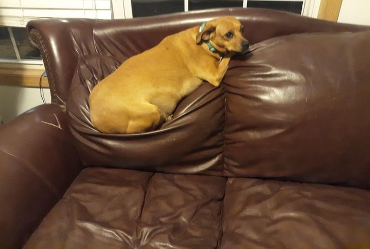 4635325b449acabbb1368fb472