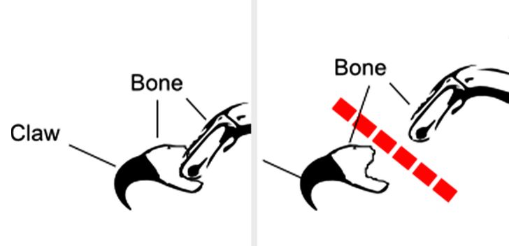 46357b52258ce138bf31e5c176